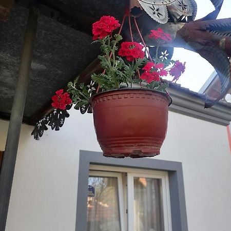 Villa Etno Kuca Badejevic Plavna Exterior foto