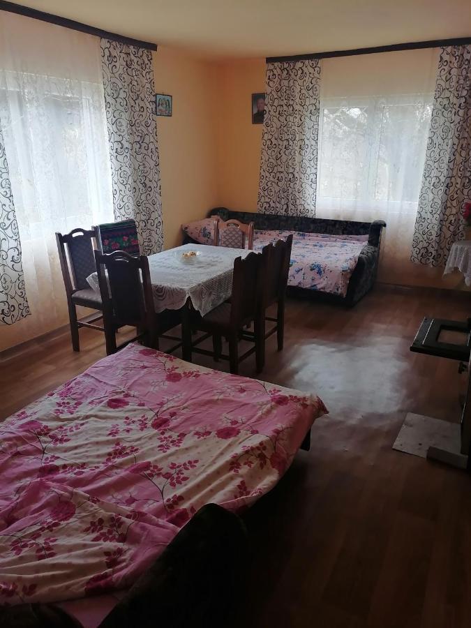 Villa Etno Kuca Badejevic Plavna Exterior foto