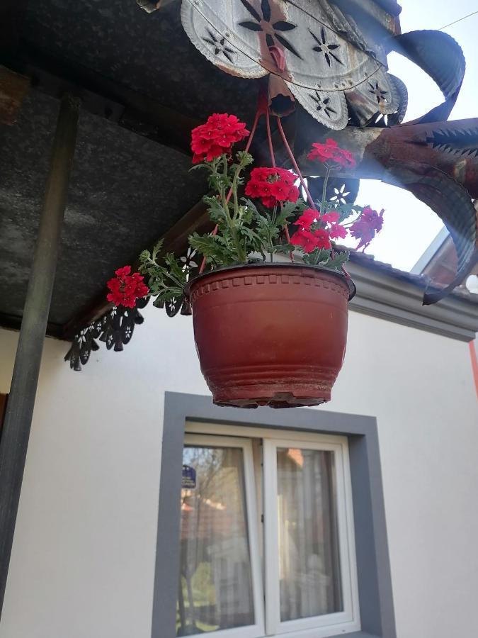 Villa Etno Kuca Badejevic Plavna Exterior foto